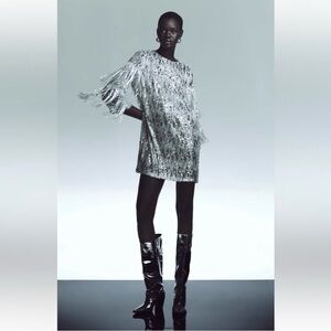 Zara Silver Sequin Fringe Dress